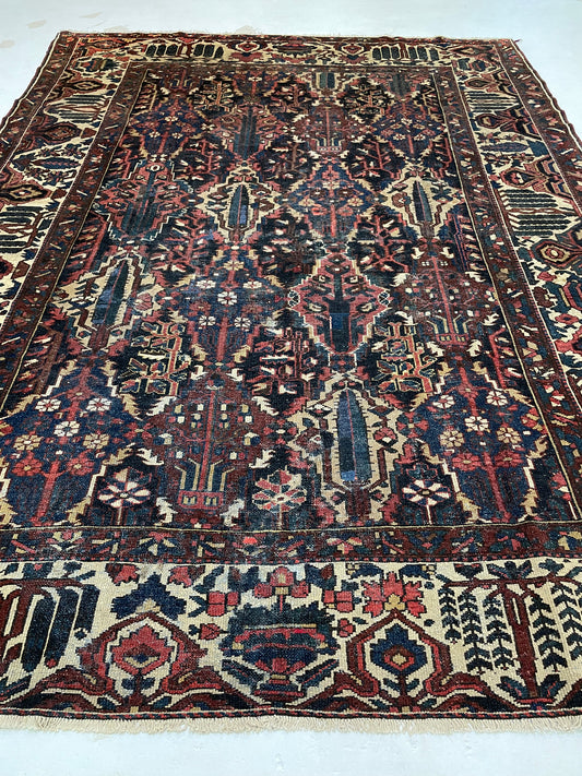 Hand-Knotted Wool Rug Bakhtiari 8'7" x 10'8"
