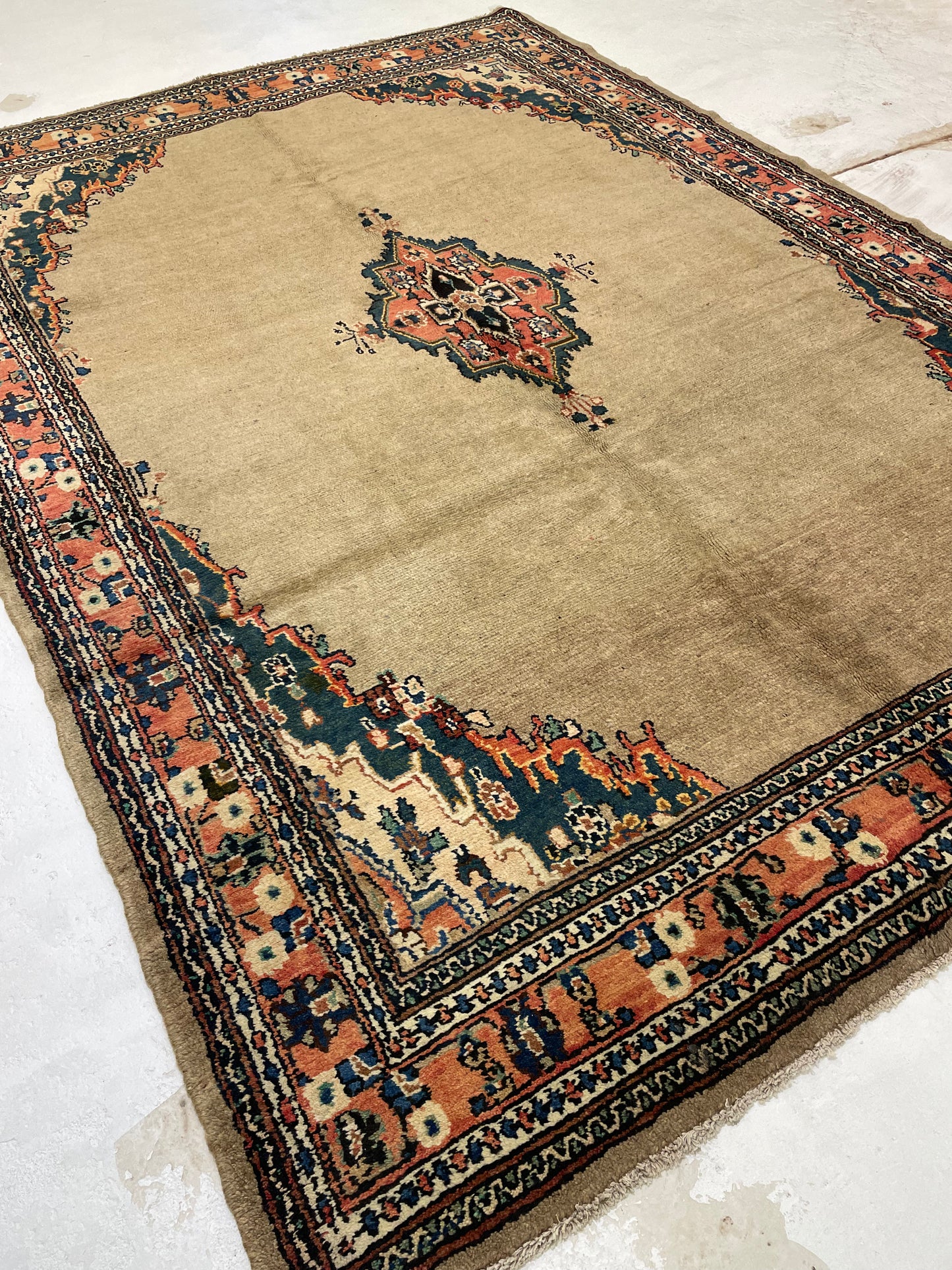 Hand-Knotted Wool Rug Bibikabad Hamedan 6'10" x 9'10"