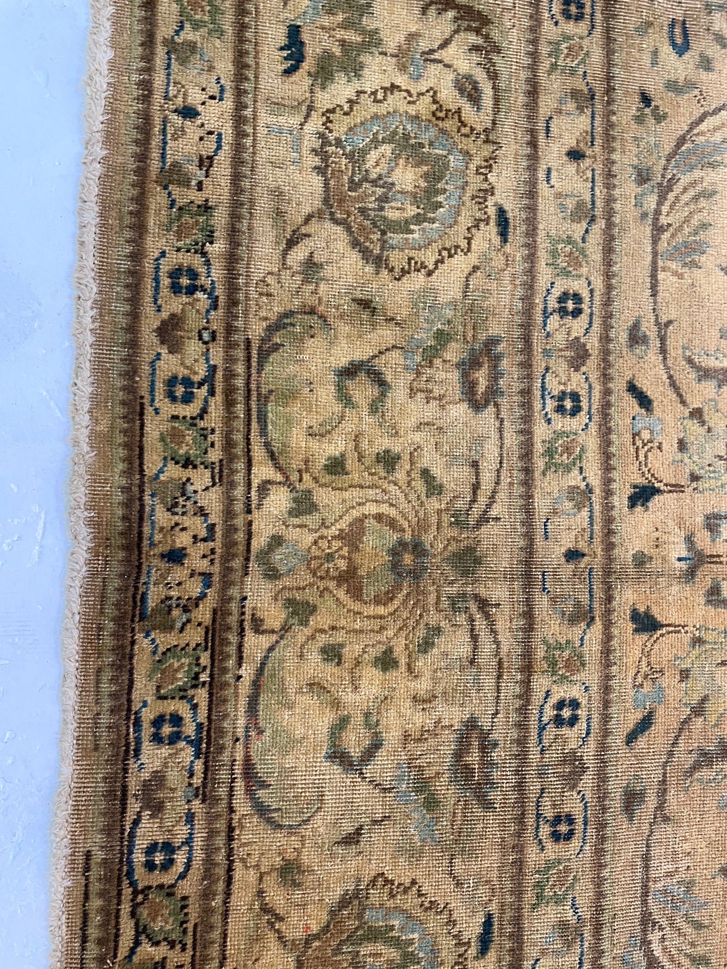 Hand-Knotted Wool Rug Tabriz Tea Washed 9'2" x 12'5"