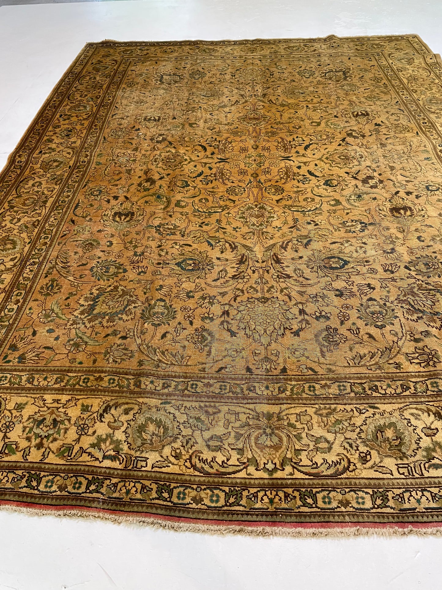 Hand-Knotted Wool Rug Tabriz Tea Washed 9'2" x 12'5"