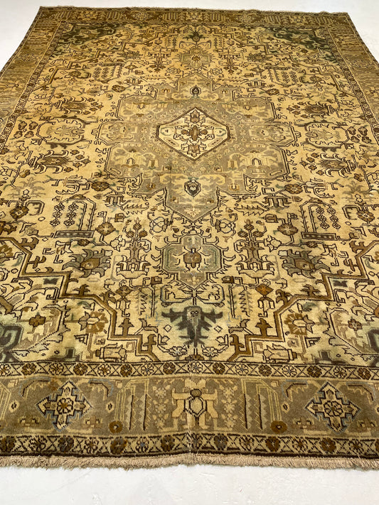 Hand-Knotted Wool Rug Tabriz Khoy 9'2" x 12'8"