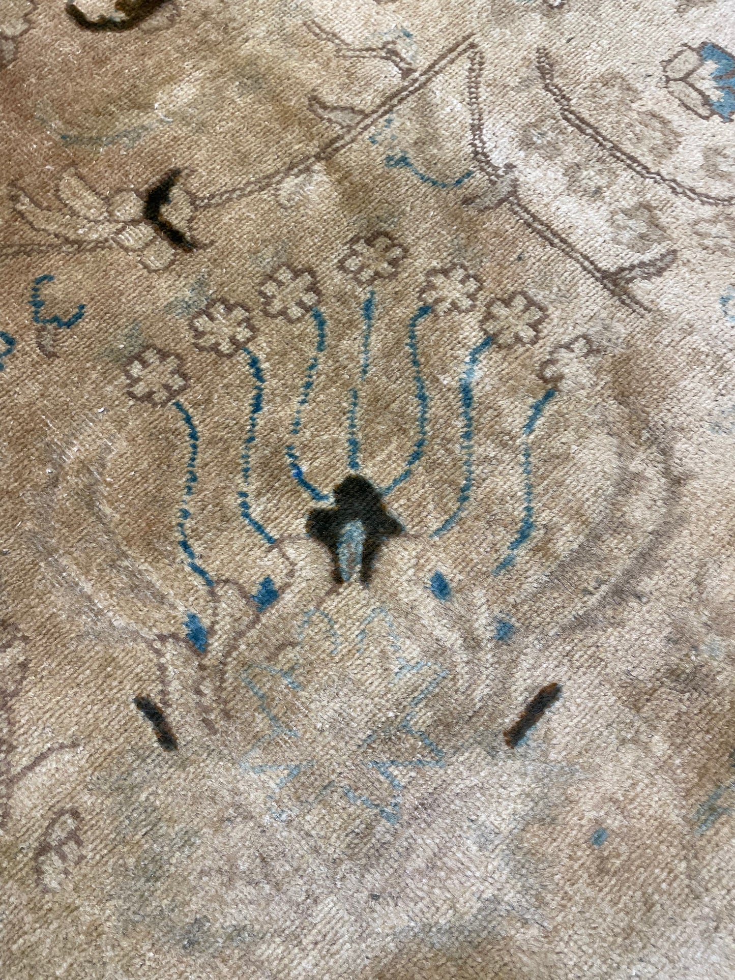 Hand-Knotted Wool Rug Tabriz Tea Washed 11'1" x 12'1"
