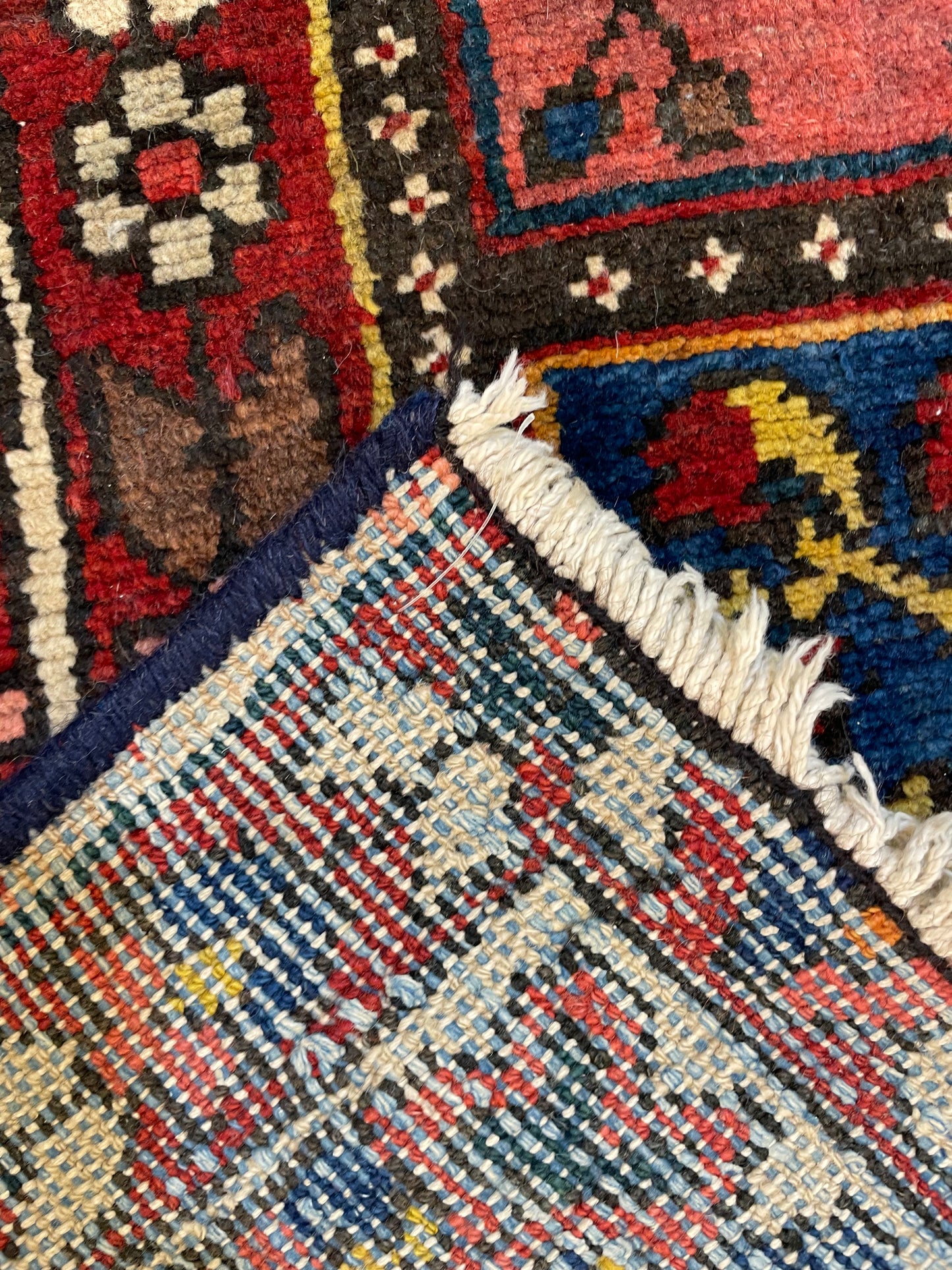 Hand-Knotted Wool Area Rug Bakhtiari Garden of Eden 6'11" x 9'5"