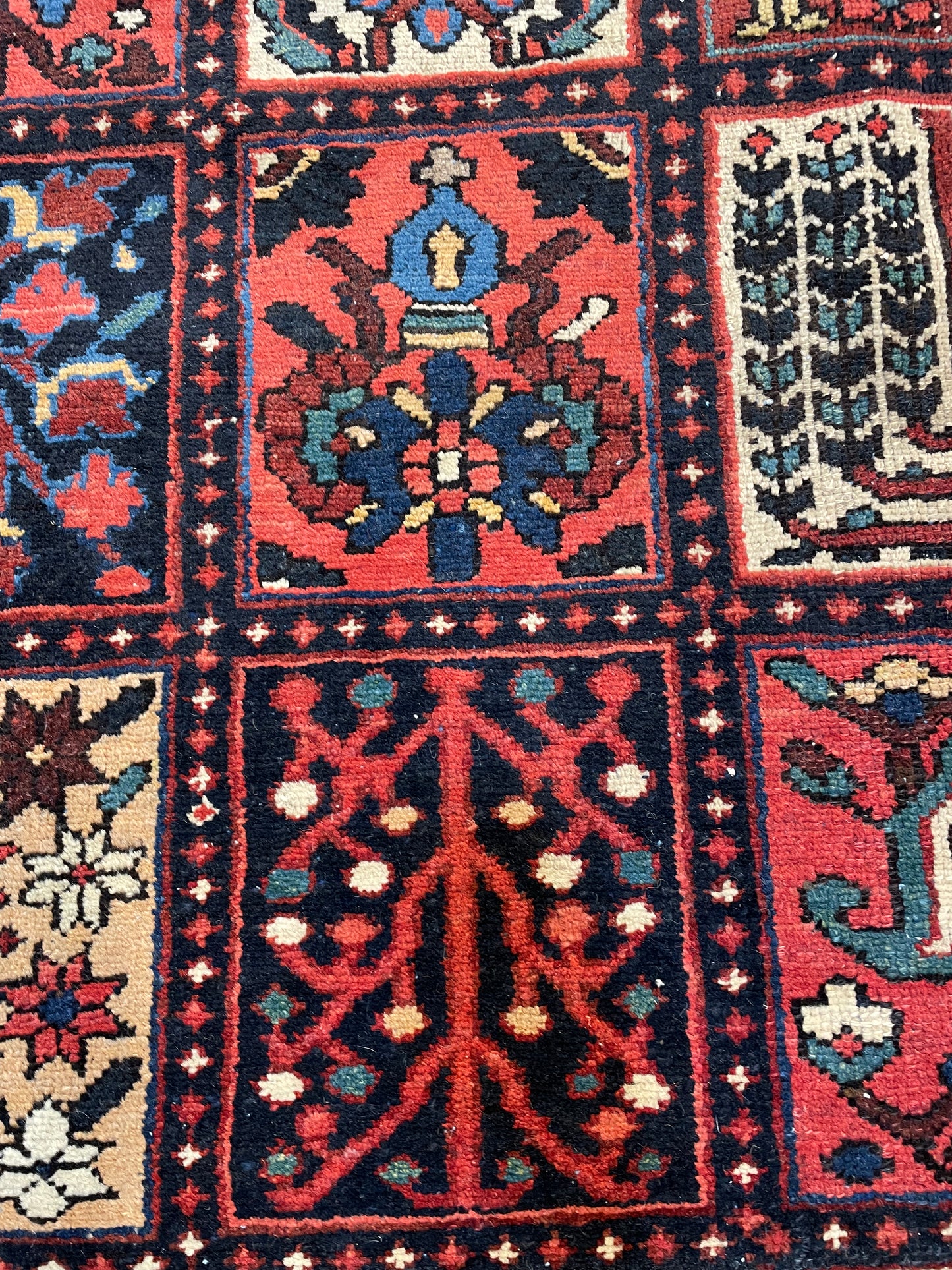Hand-Knotted Wool Area Rug Bakhtiari 10'10" x 12'10"