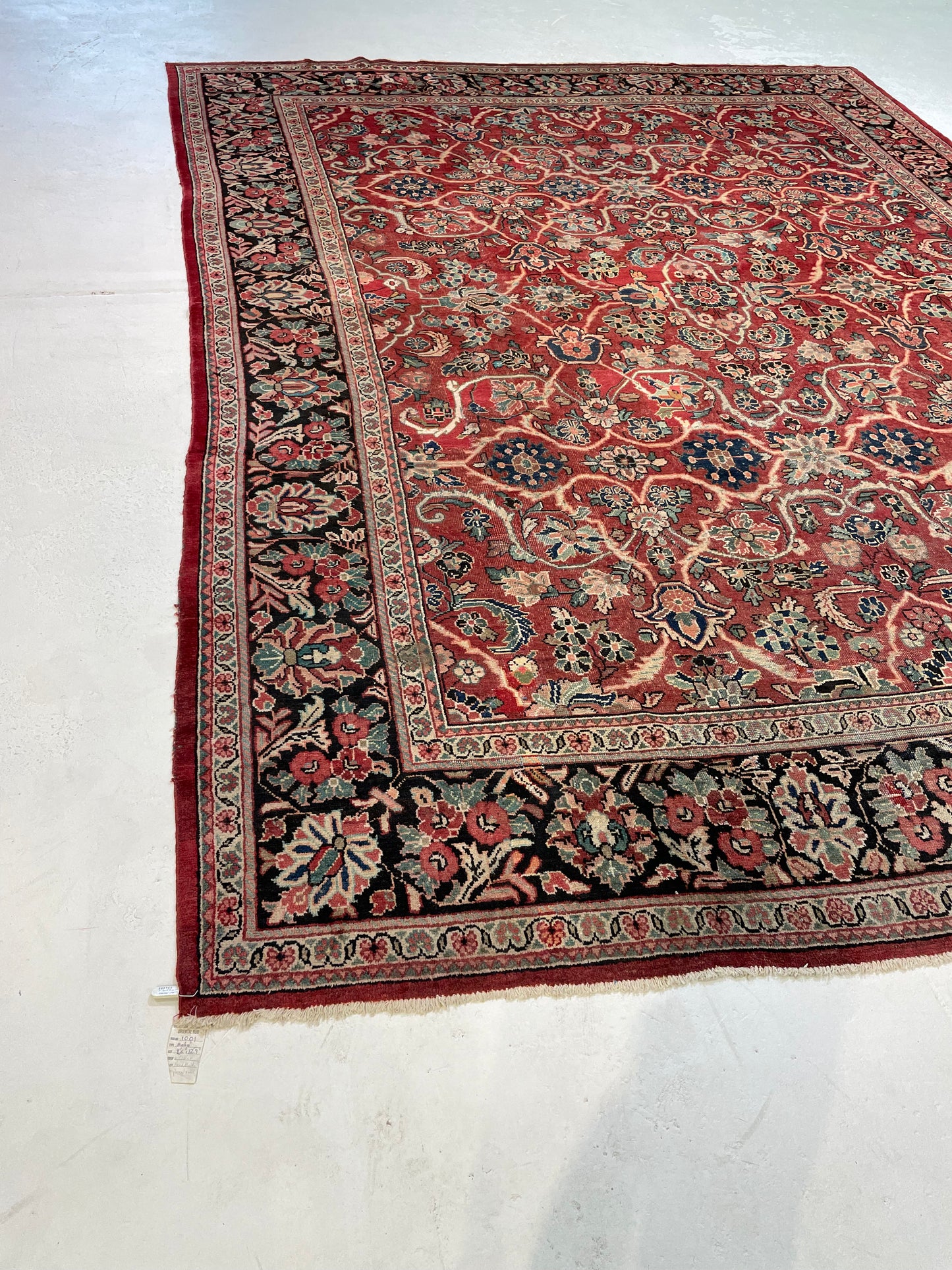 Hand-Knotted Wool Area Rug Mahal 9'6" x 12'9"