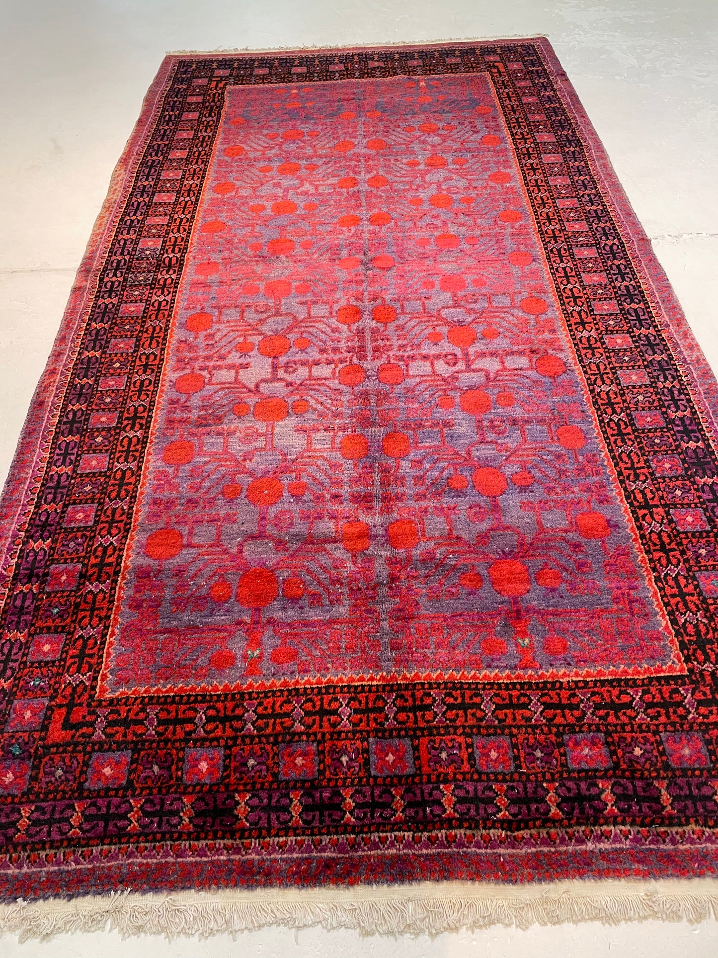 Antique Hand-Knotted Wool Gallery Size Khotan Samarkand Collectible 6' x 11'6"