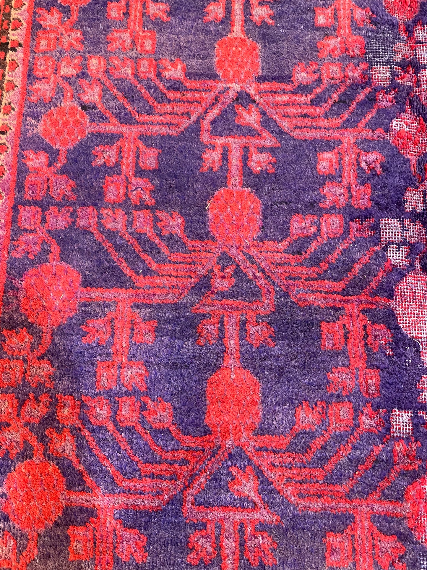Antique Hand-Knotted Wool Gallery Size Khotan Samarkand Collectible 5'8" x 11'4"