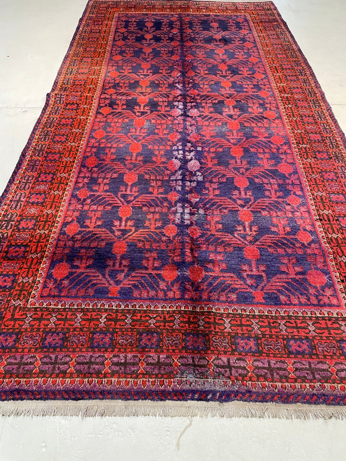 Antique Hand-Knotted Wool Gallery Size Khotan Samarkand Collectible 5'8" x 11'4"