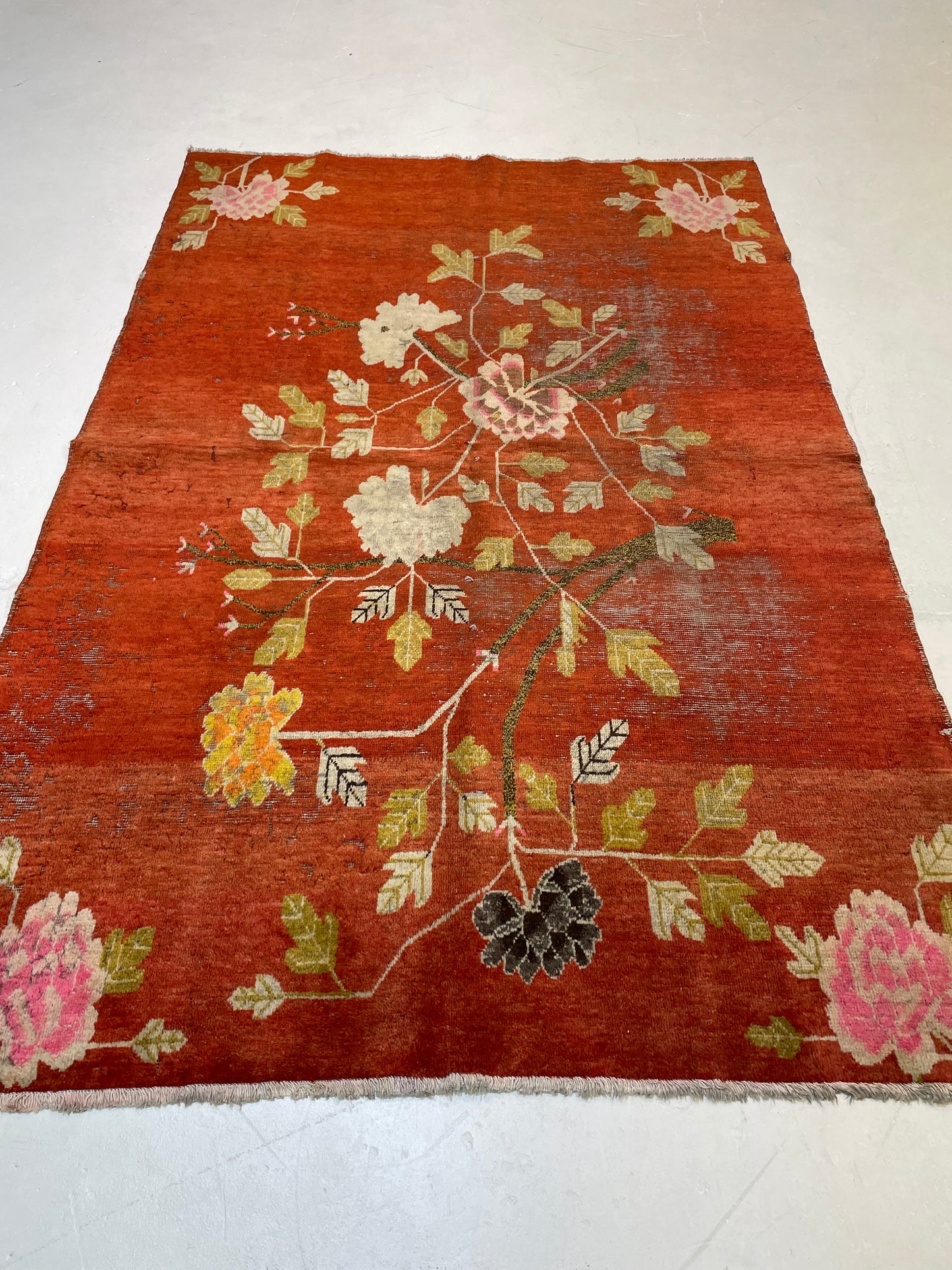 Hand-Knotted Wool Rug Khotan 4'9" x 7'