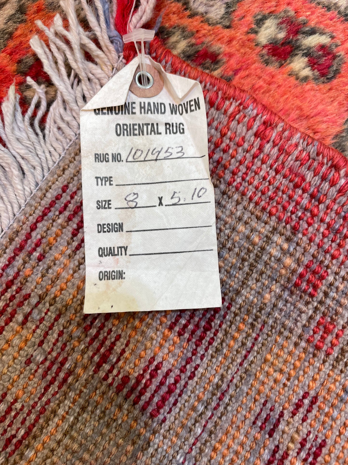 Hand-Knotted Wool Rug Khotan 5'10" x 8'