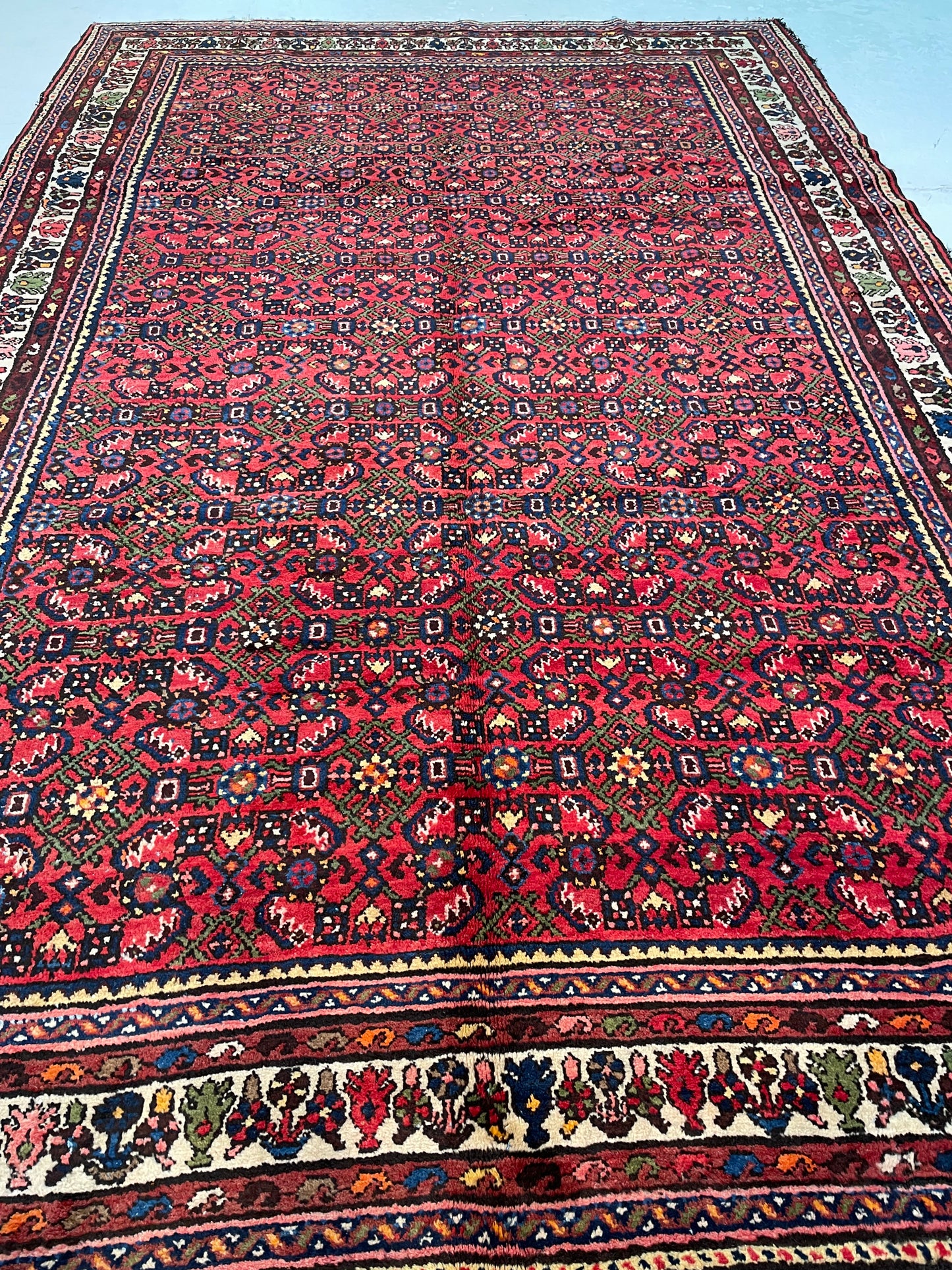 Hand-Knotted Wool Rug Turkish Hamedan Herati Design 6'10" x 10'5"