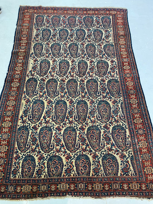 Hand-Knotted Wool Rug Persian Kurdish Senneh 4'6" x 6'9"