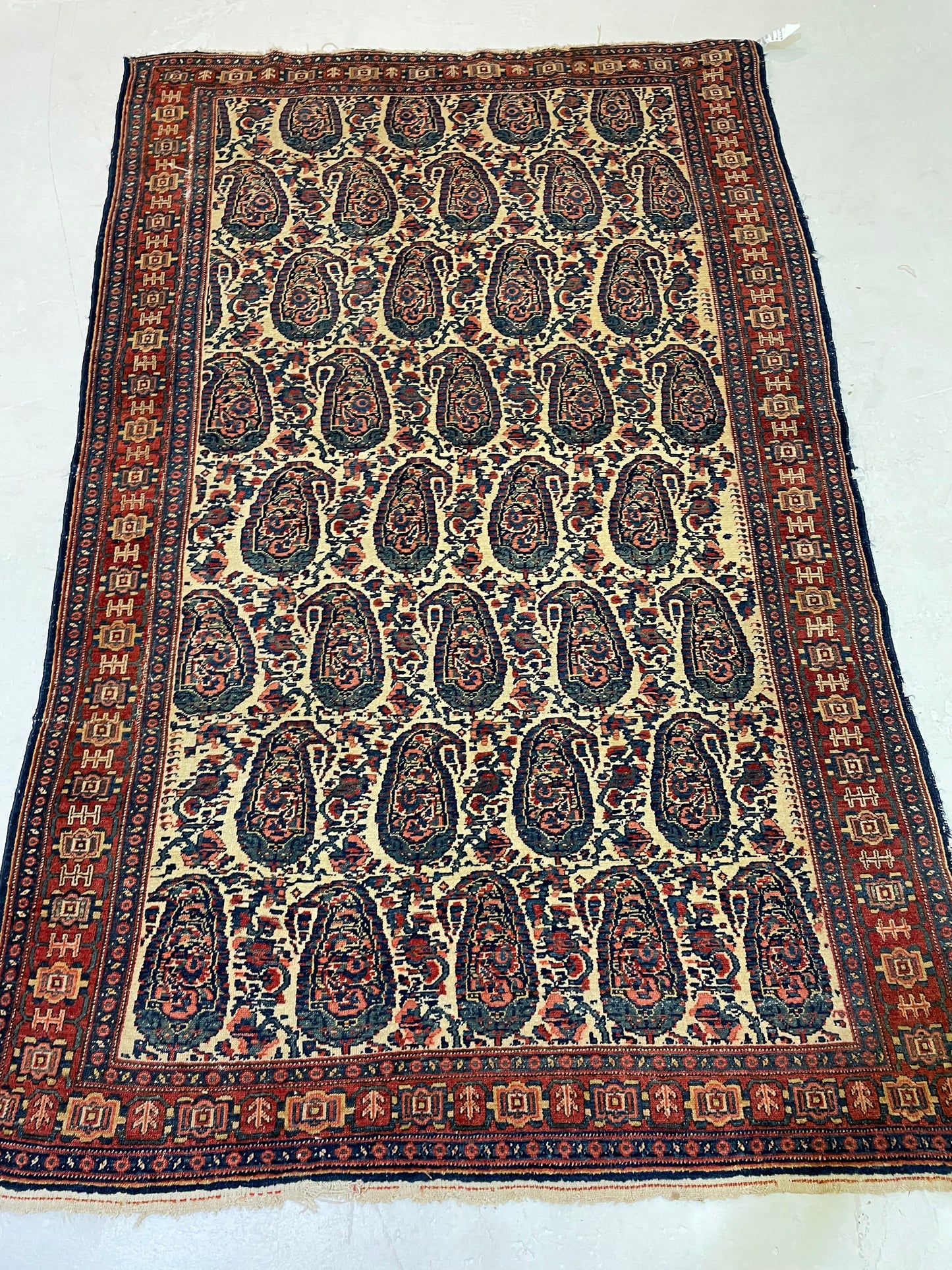 Hand-Knotted Wool Rug Persian Kurdish Senneh 4'6" x 6'9"