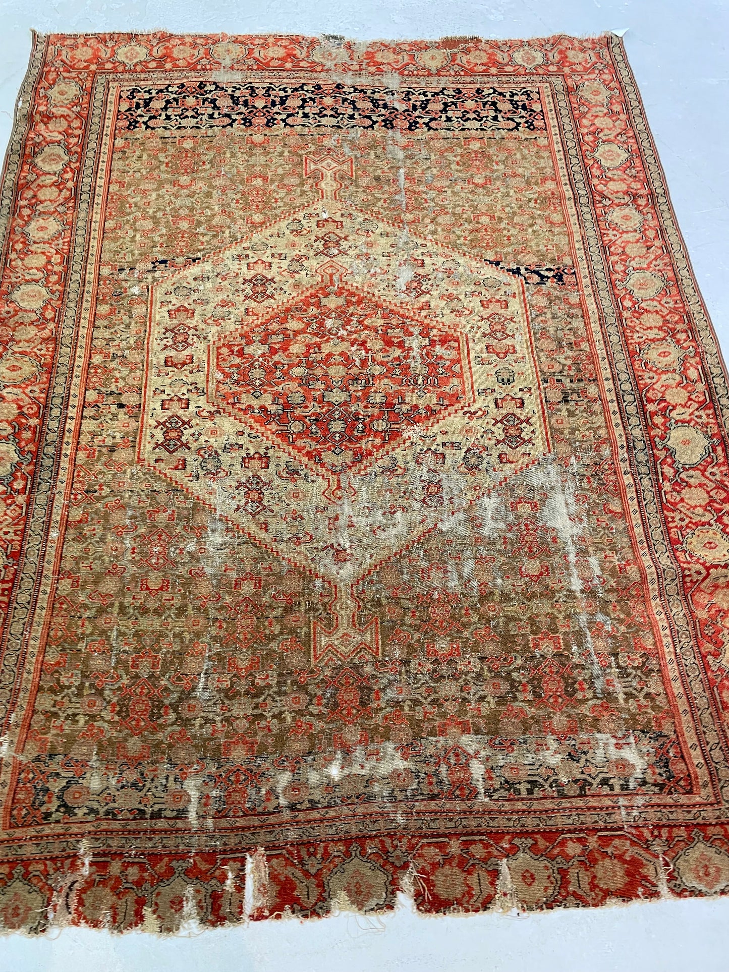 Hand-Knotted Wool Rug Senneh Bijar Design 5'2" x 5'8"