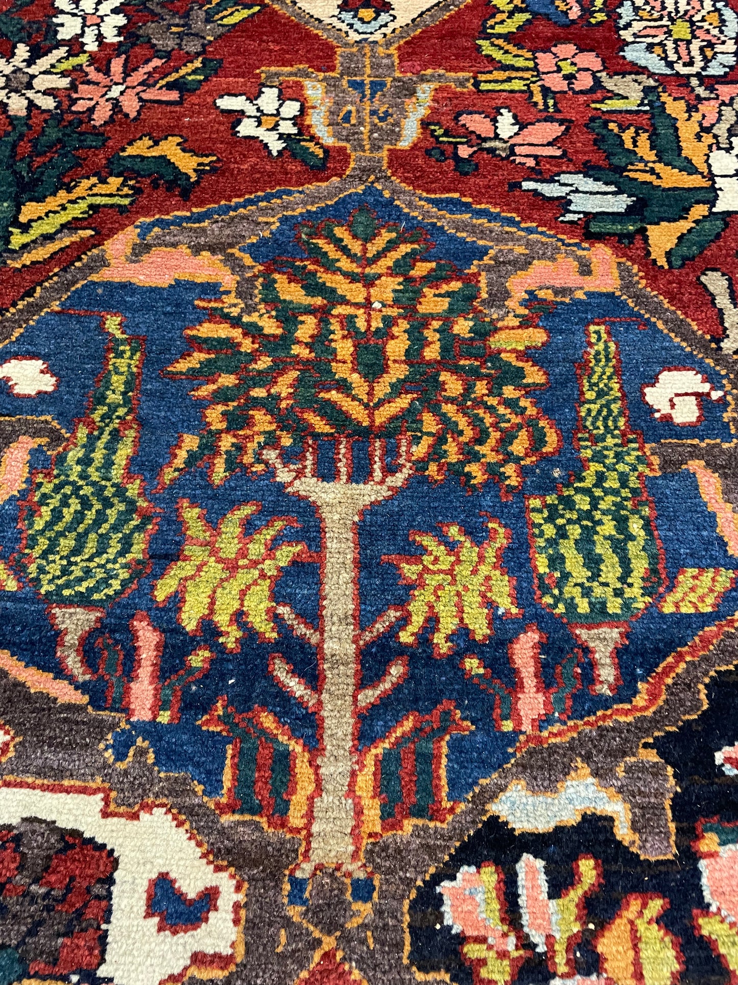 Hand-Knotted Wool Rug Bakhtiari 4'7" x 6'7"
