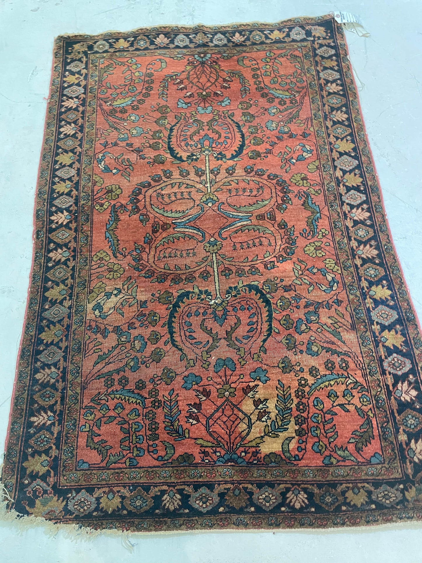 Hand-Knotted Wool Rug Sarouk 3' x 5'