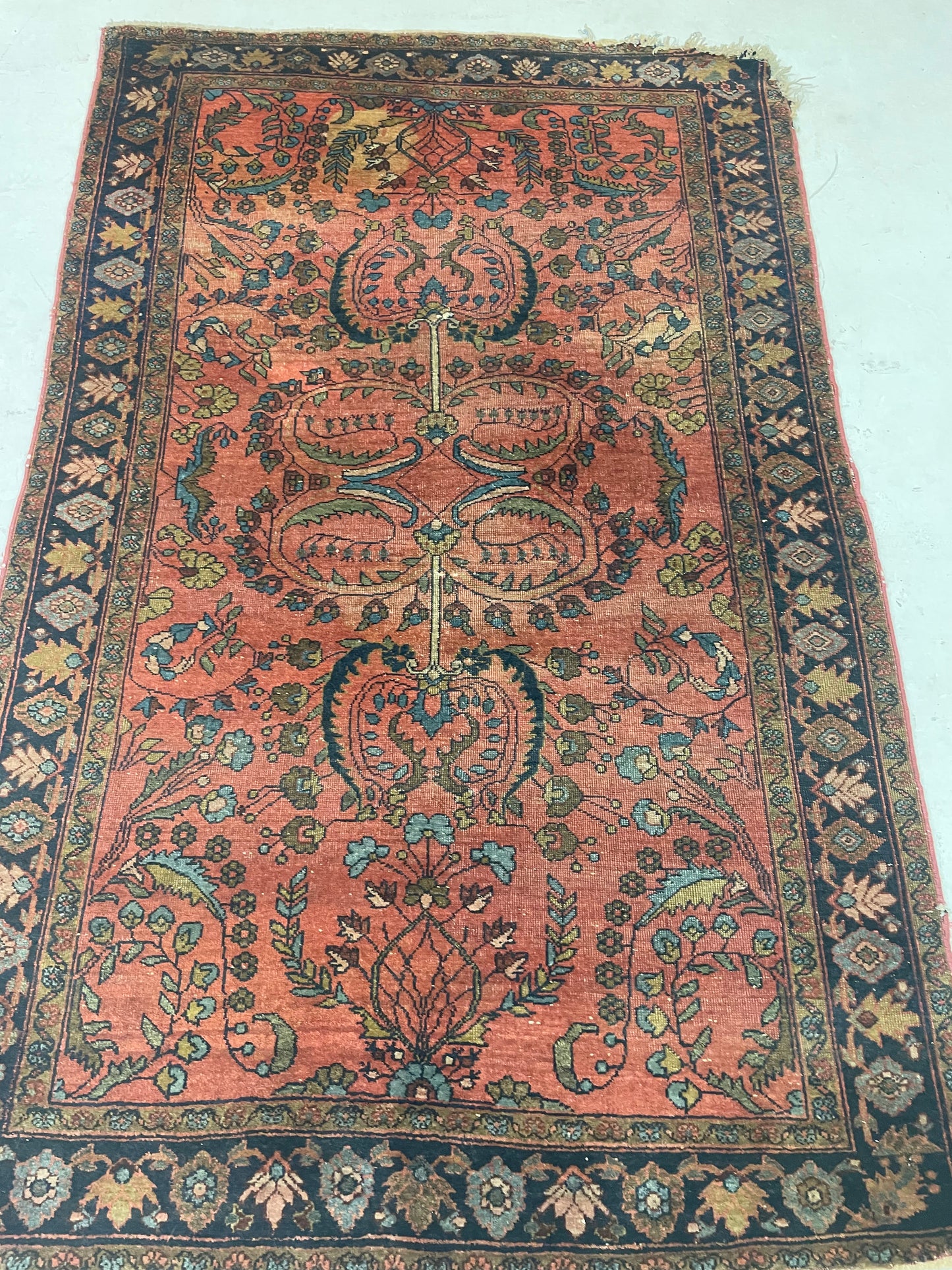 Hand-Knotted Wool Rug Sarouk 3' x 5'