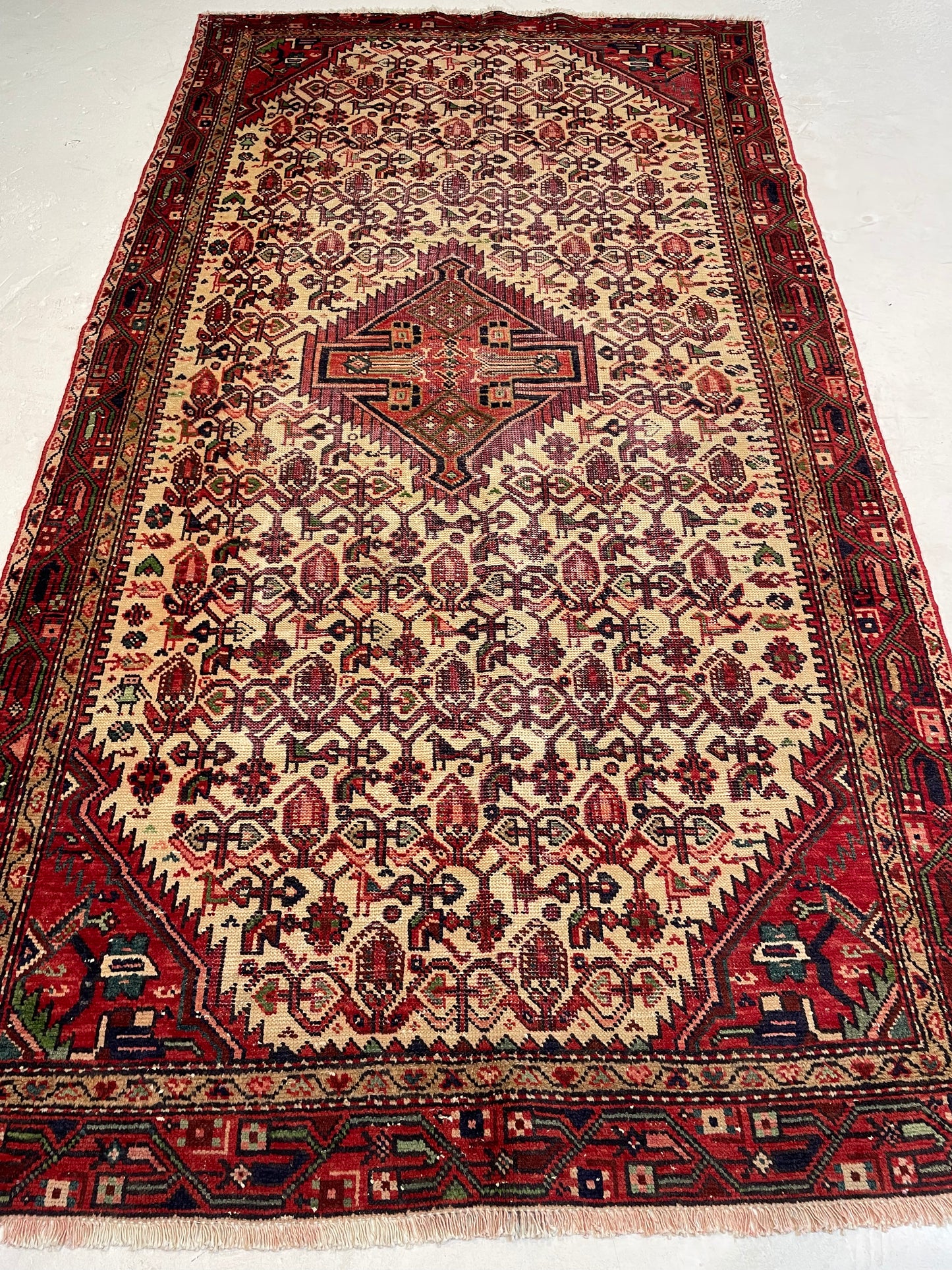 Hand-Knotted Wool Rug Hamedan 4'7" x 8'6"