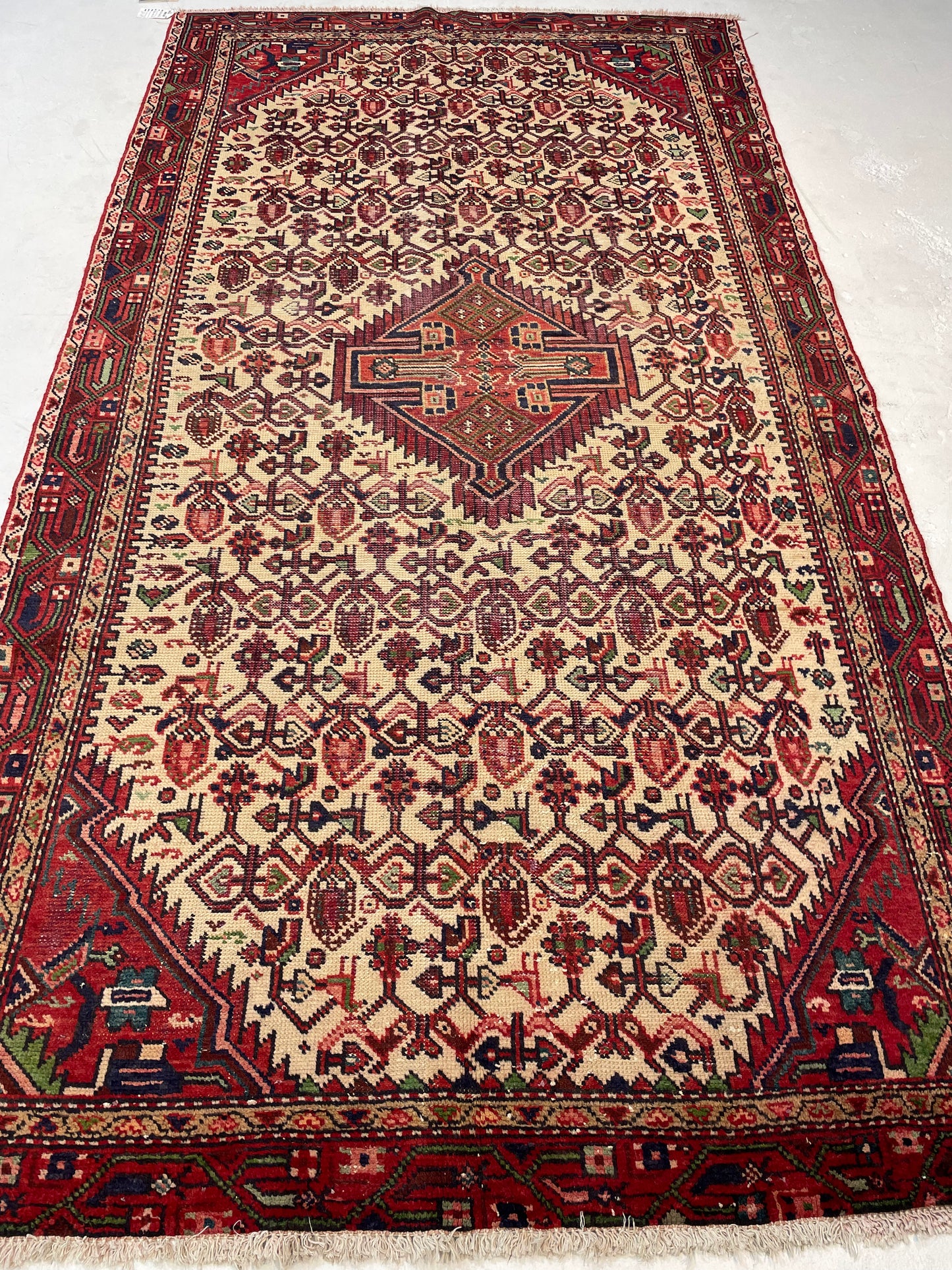 Hand-Knotted Wool Rug Hamedan 4'7" x 8'6"