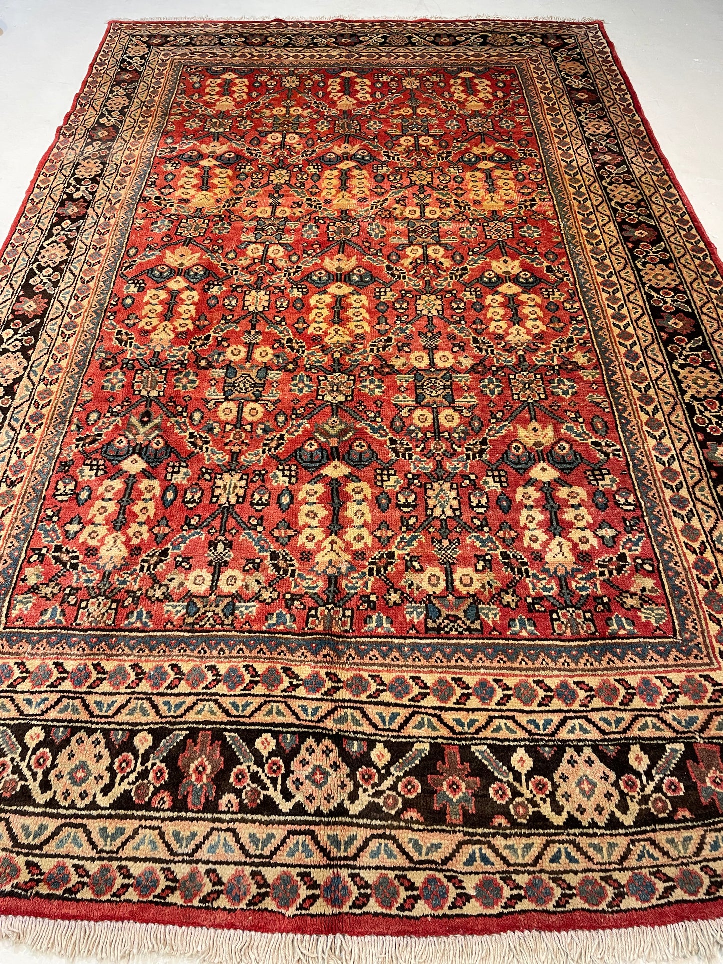 Hand-Knotted Wool Rug Mahal 6'8" x 10'7"