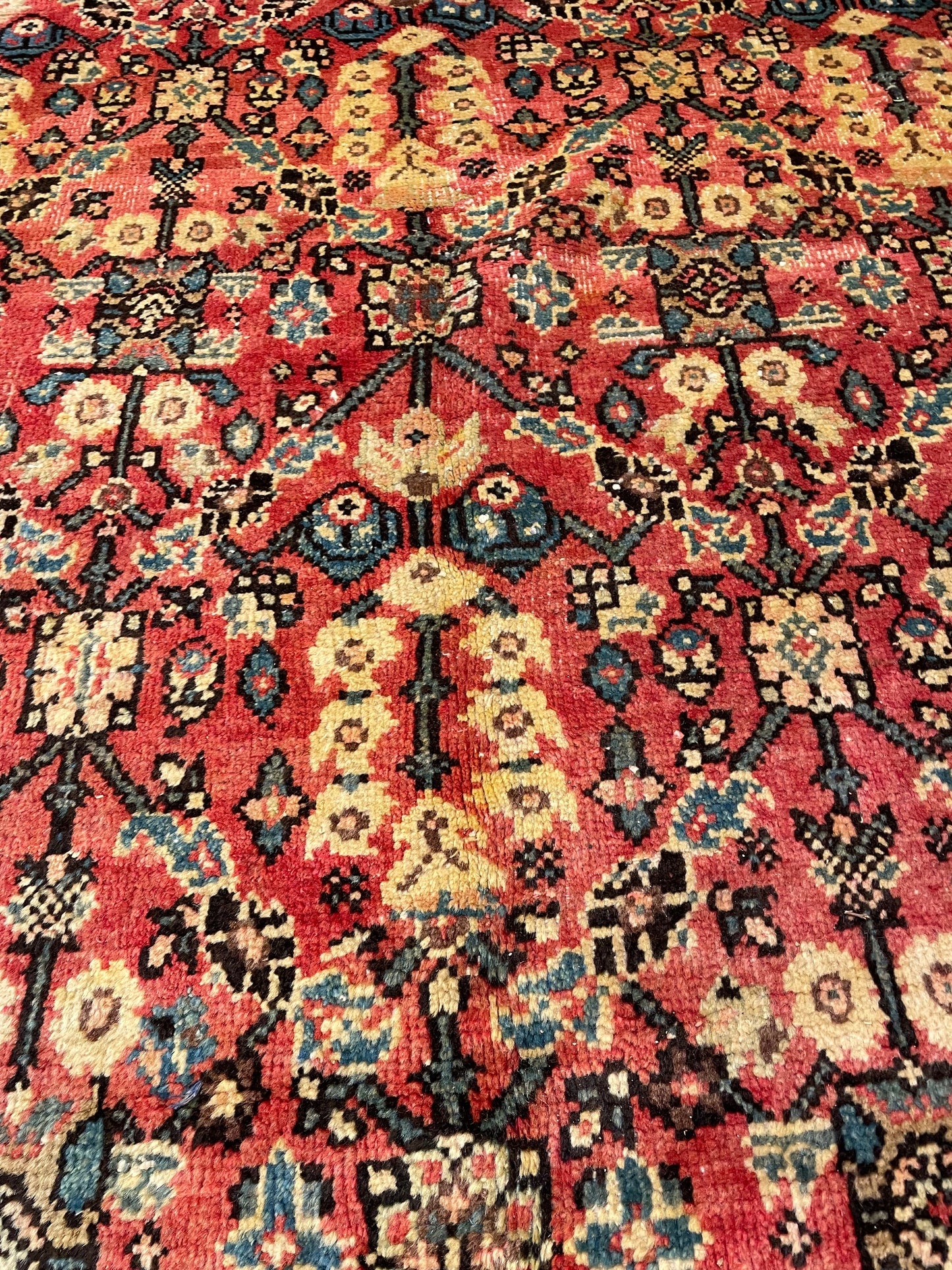 Hand-Knotted Wool Rug Mahal 6'8" x 10'7"