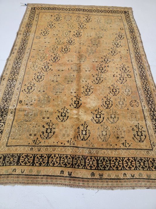 Hand-Knotted Wool Rug Shiraz 5'2" x 7'10"