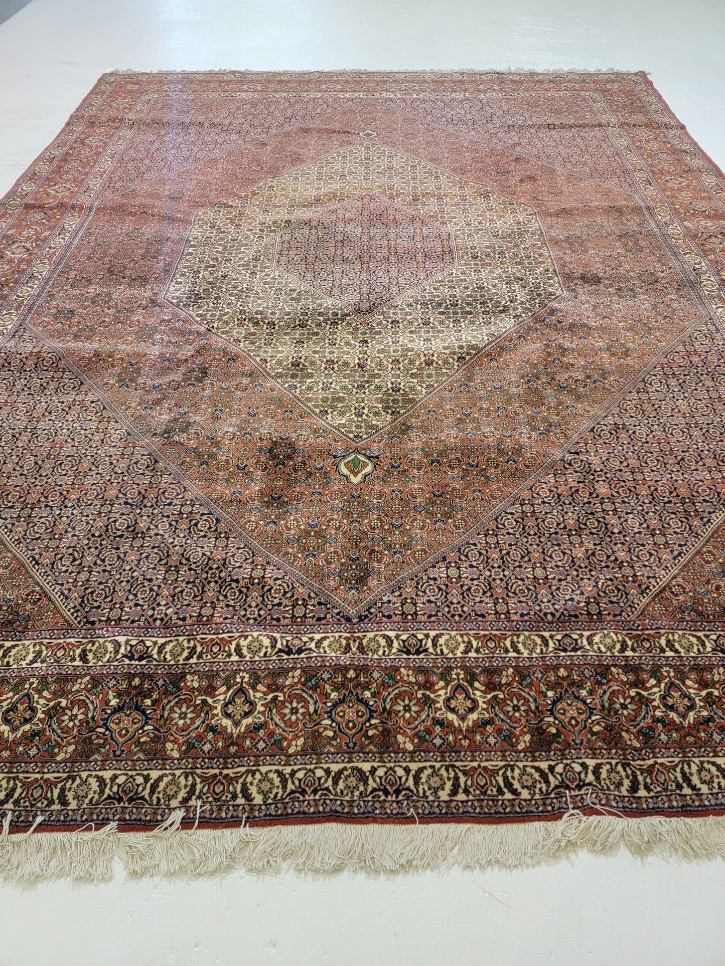 Antique Hand-Knotted Wool Area Rug Bijar Mahi 9'8" x 13'