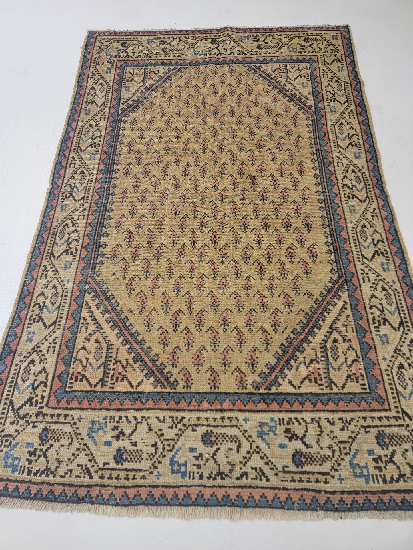 Antique Hand-Knotted Wool Area Rug Saraband 3'11" x 5'4"