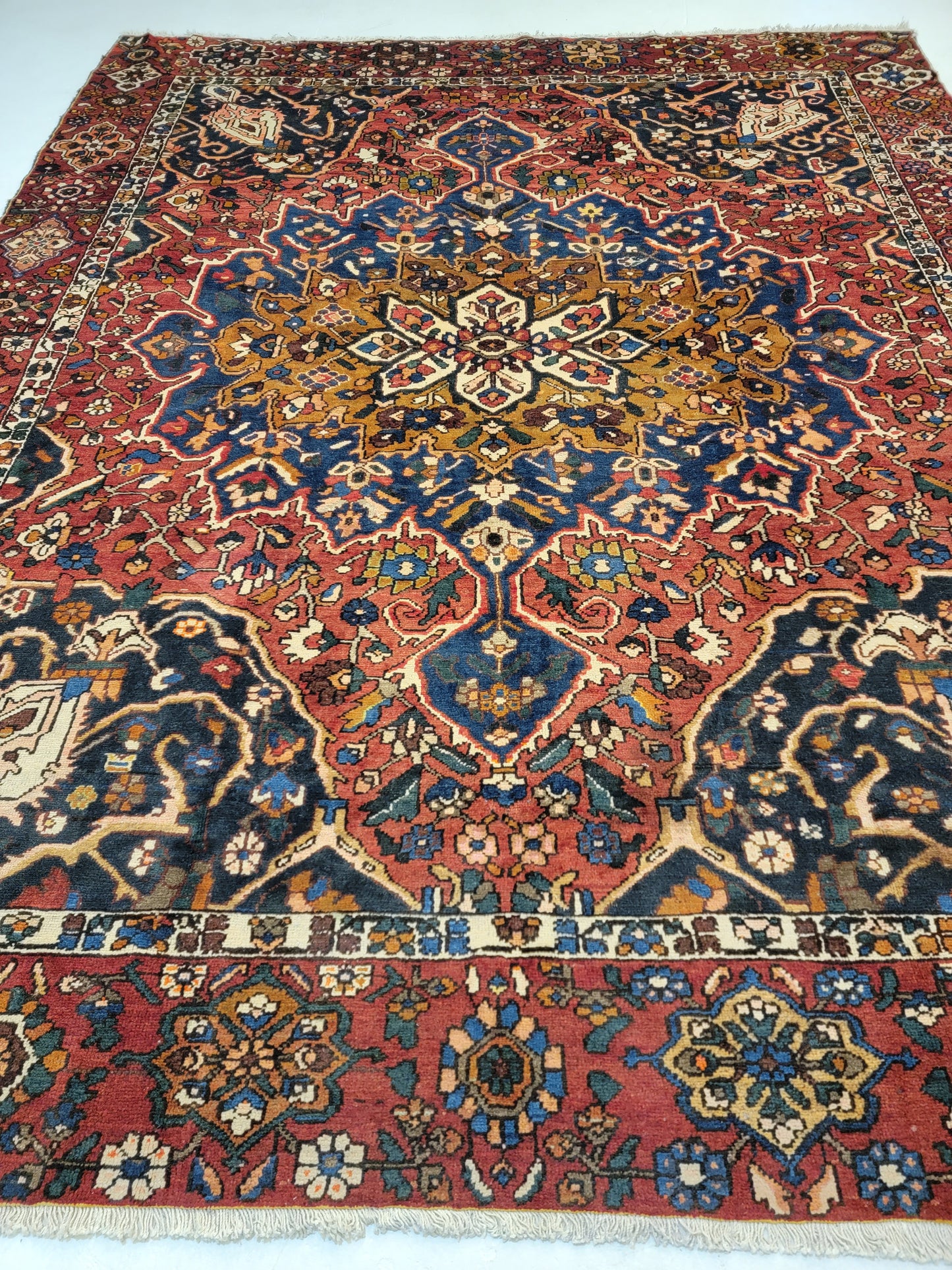 Hand-Knotted Wool Rug Bakhtiari 9'2" x 11'6"