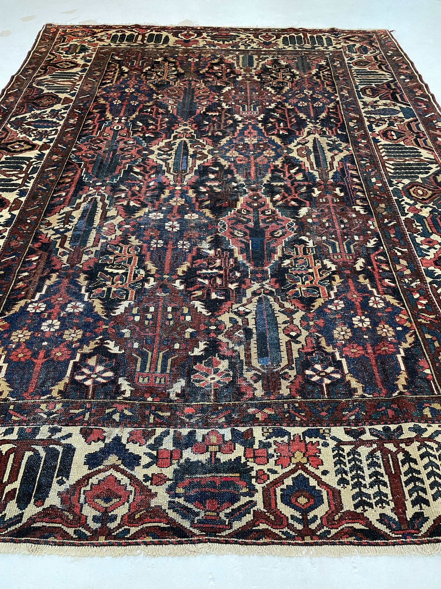 Hand-Knotted Wool Rug Bakhtiari 8'7" x 10'8"