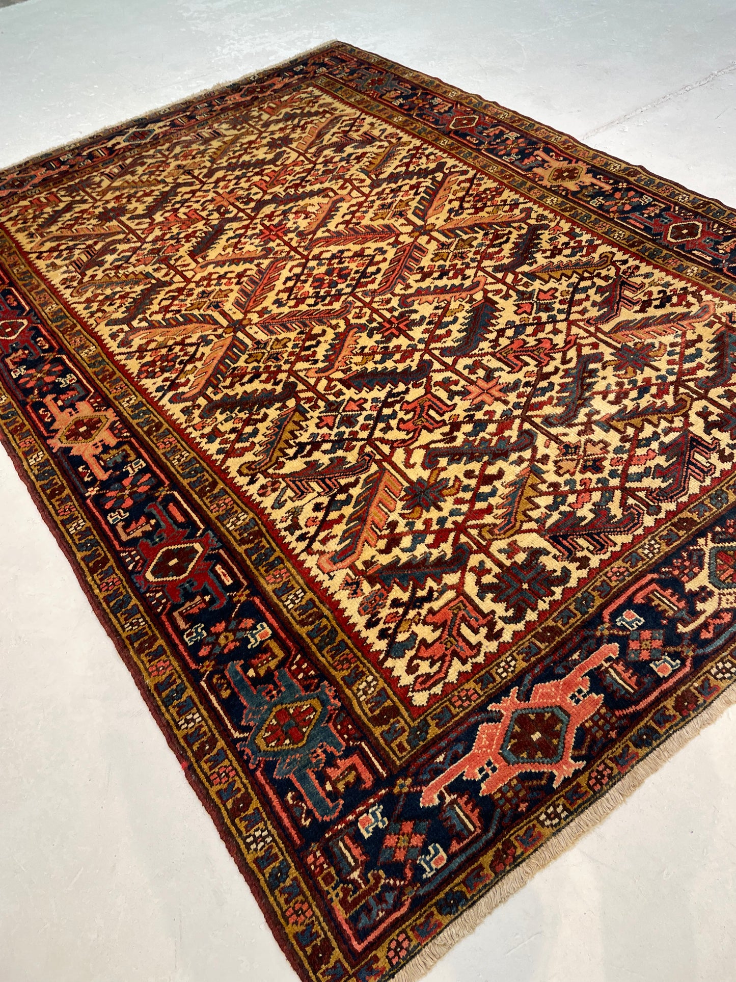 Antique Hand-Knotted Wool Area Rug Heriz 7'x 10'