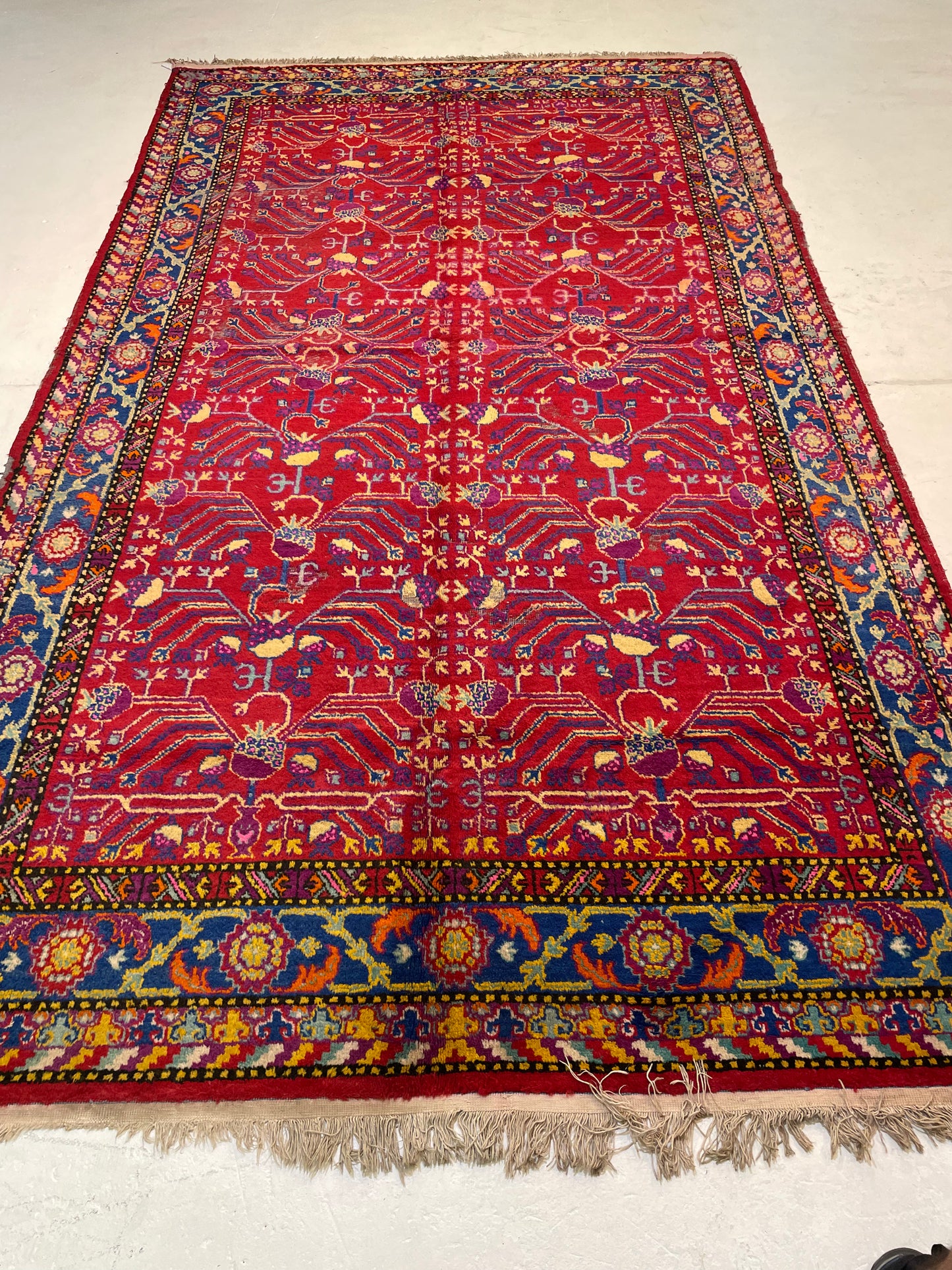 Antique Hand-Knotted Wool Area Rug Khotan Samarkand 6' x 11'