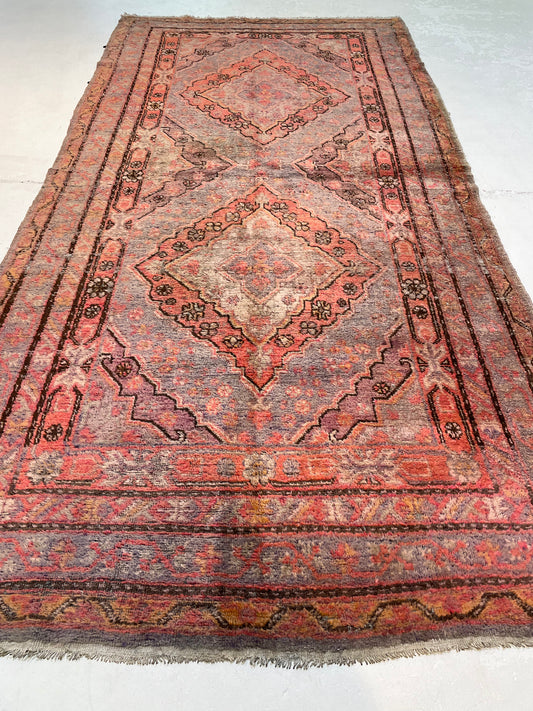 Antique Hand-Knotted Wool Gallery Size Khotan Samarkand Collectible 5'5" x 10'10"